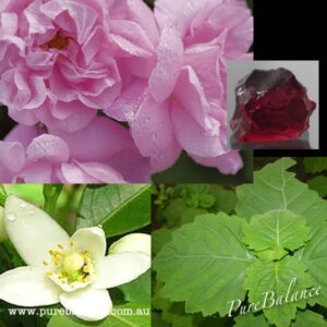 Tranquility Foaming Cleanser