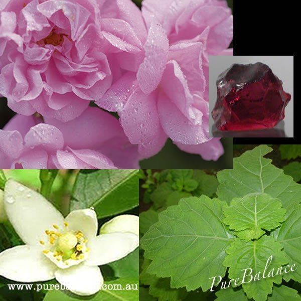 TranqCleanser Tranquility Foaming Cleanser