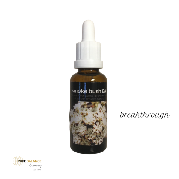 smokebush ea australian wild flower essence - platinum collection