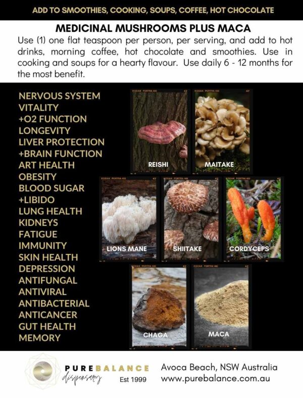 6 medicinal mushrooms and maca back