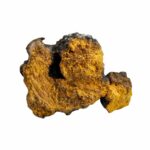 purebalance chaga mushroom