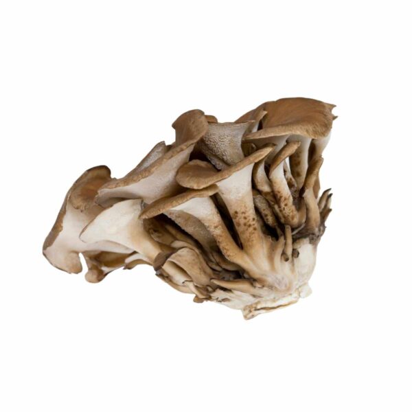 purebalance maitake mushrooms